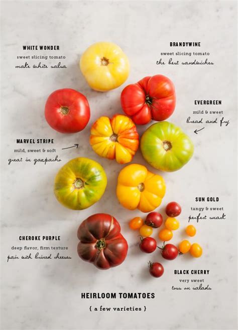 All About Heirloom Tomatoes - Love and Lemons | Heirloom tomatoes ...