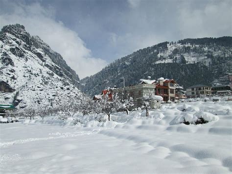 Club Mahindra Snow Peaks Manali Rooms: Pictures & Reviews - Tripadvisor