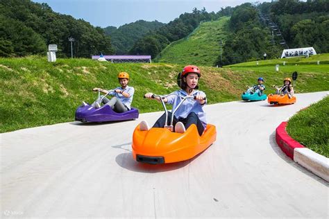 [Summer Limited] Vivaldi Park Ocean World, Luge Racing Car, Sheep Farm ...