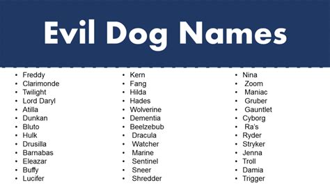 Dog Names from Books | Dog Naming Ideas - GrammarVocab