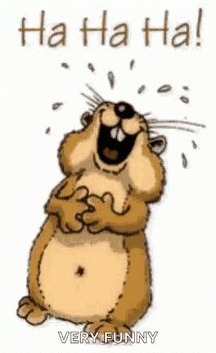 Laughing Hard Cute Rodent Beaver GIF | GIFDB.com