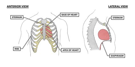 CrossFit | The Heart, Part 1: Location & Orientation