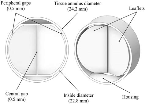 CAD modeling of the bileaflet MHV | Download Scientific Diagram