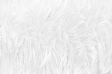 Page 10 | Feather Texture Images - Free Download on Freepik