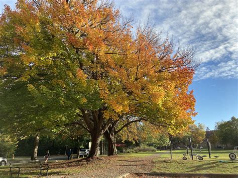 Best Parks to Take in Beautiful Fall Colors - Parkways