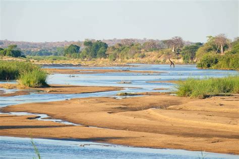 Inside Tanzania's Ruaha National Park • Your Ultimate Safari Guide