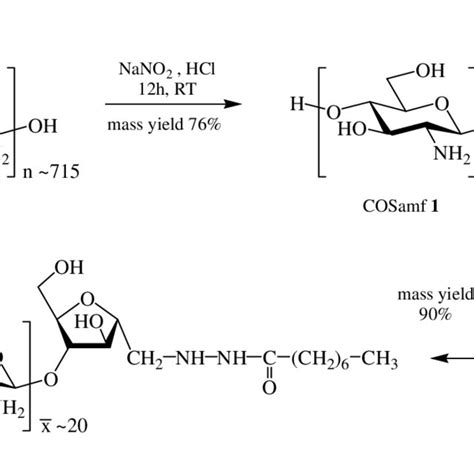 Scheme 1. Synthesis of octanoic acid-linked... | Download Scientific ...