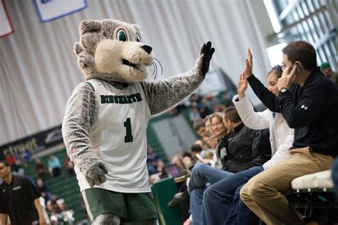 Binghamton University’s Baxter the Bearcat reaches fourth round of ...