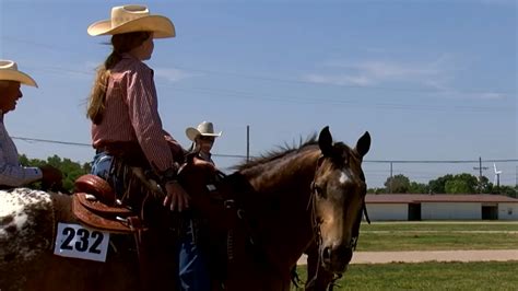 Appaloosa horse distinguished by signature color and markings