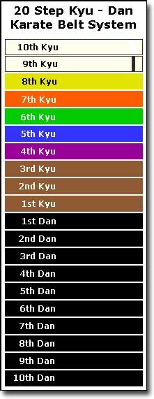 How Are Karate Belts Earned and What do Karate Belt Colors Mean?