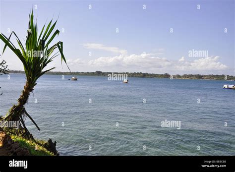 Kisite National Marine Park and Wasini Island Stock Photo - Alamy