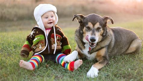 Fur Laughs: Watch 7 Funny Dogs Making Babies Laugh [VIDEOS] - DogTime