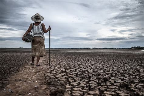 Prakiraan Musim Kemarau 2023, Berikut Ciri-ciri yang Perlu Diperhatikan ...