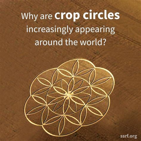 Crop circles explained through spiritual research - Spiritual Science ...