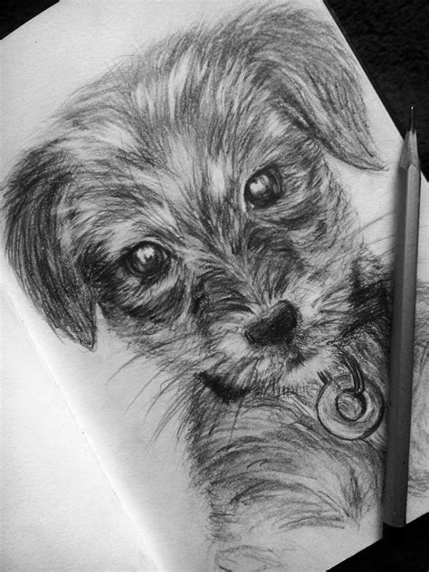 Realistic Easy Puppy Dog Drawing Drawing | Images and Photos finder