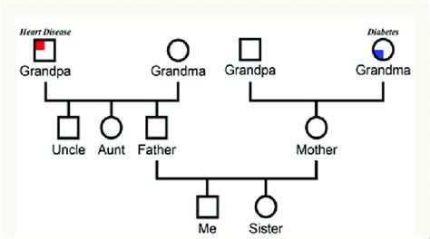 Example genogram - stashokta