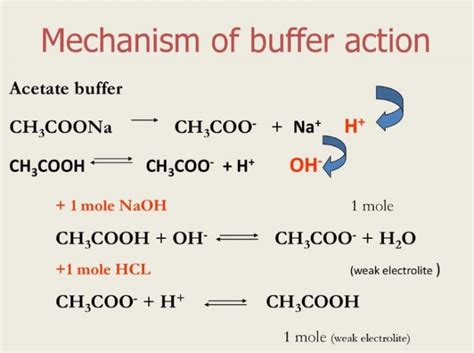 What Is Meant By Buffer Solution Example - Ella Scholten Coiffure