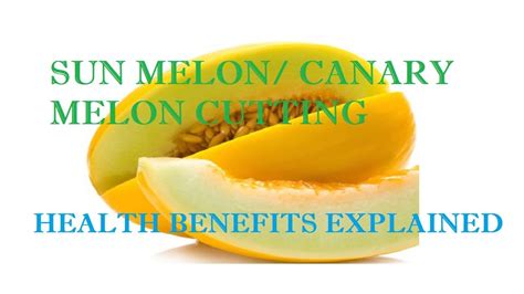 Sun melon cutting and health benefits explained | canary melon ...