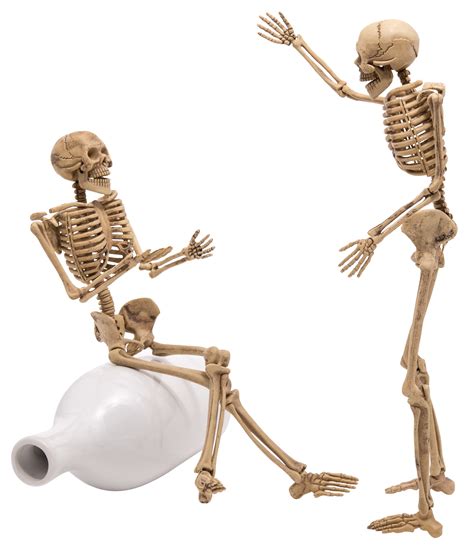 Human skeleton as people talking isolated 12447604 PNG