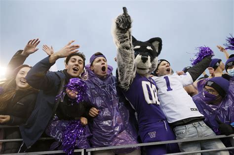 Washington vs Oregon: How to watch, live stream, TV info, odds, preview ...