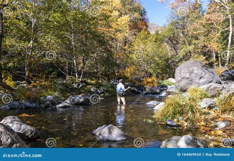 Man Fly Fishing on Oak Creek in Sedona during Fall Editorial Stock ...