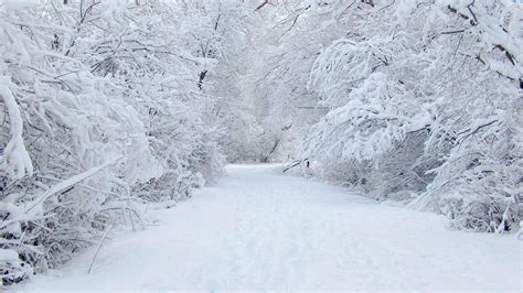 January Winter Desktop Wallpapers - Top Free January Winter Desktop ...