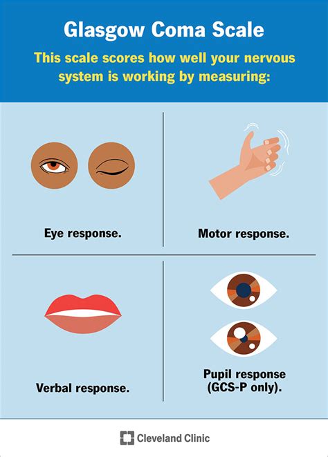 Glasgow Coma Scale (GCS): What It Is, Interpretation Chart, 41% OFF