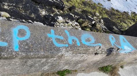 Dublin community left 'devastated' after racist graffiti scrawled along ...