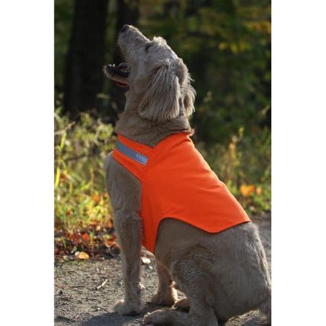 Safety Dog Vest - Hunter Orange - Walmart.com - Walmart.com