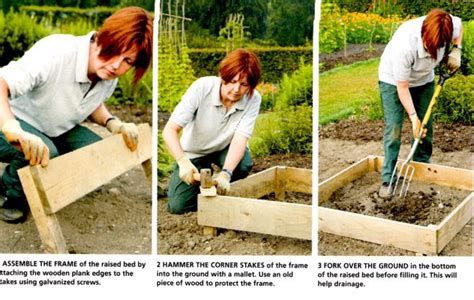 Layout of your allotment | Thinking of starting a plot?, Gardening ...