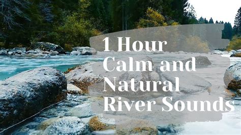 1 hour River Sounds - Flowing river for relaxation and sleep. Natural ...