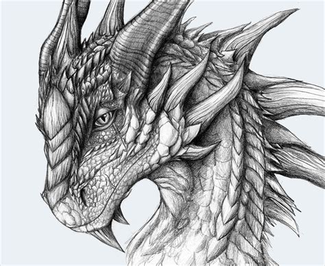 21+ Realistic Dragon Drawings | Free & Premium Creatives