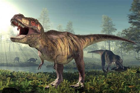 Around 2.5 billion Tyrannosaurus rex ever walked the Earth | New Scientist