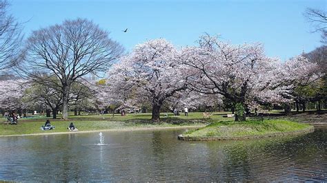 Yoyogi Park (Yoyogi Koen) - Tokyo Travel