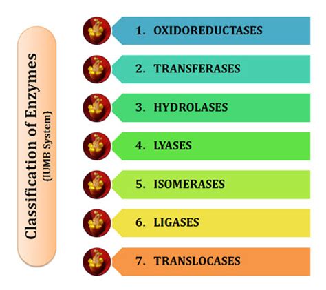 Pin on Biochemistry