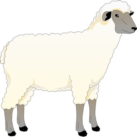 Wooly Sheep PNG, SVG Clip art for Web - Download Clip Art, PNG Icon Arts