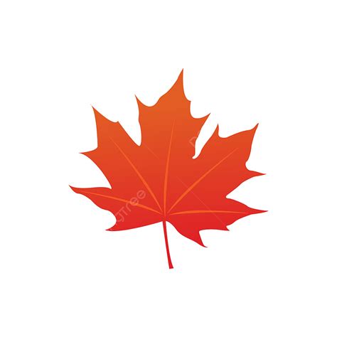 Watercolor Maple Leaf Vector Design Images, Maple Leaf Logo Icon Design ...