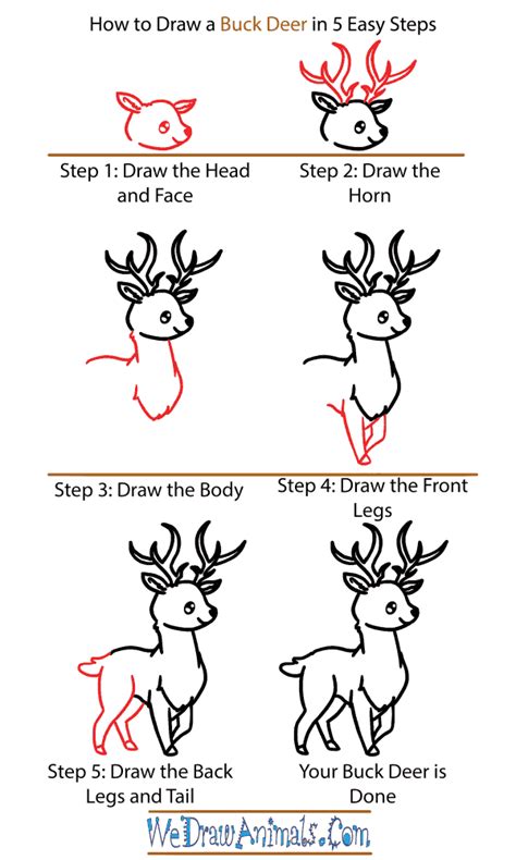 How To Draw A Deer Step By Step For Kids