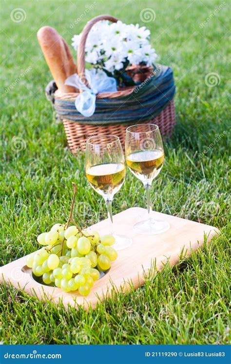 Picnic on the grass stock photo. Image of lawn, summer - 21119290