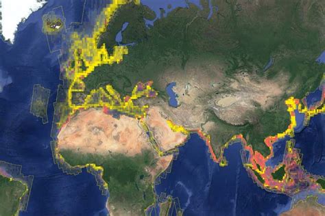 Illegal fishing: Global satellite map will help hunt down hidden ...