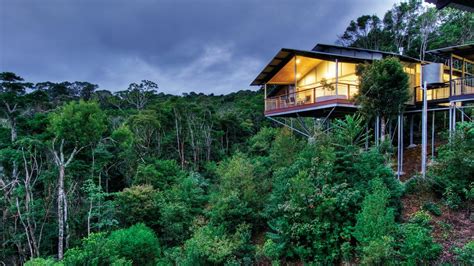 O’Reilly’s Rainforest Retreat in Gold Coast Hinterland could be forced ...