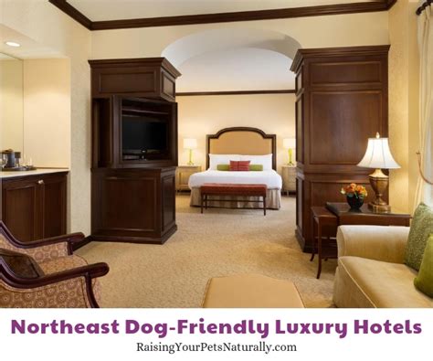 The Best Luxury Pet-Friendly Hotels in the Northeast Region ~ Raising ...