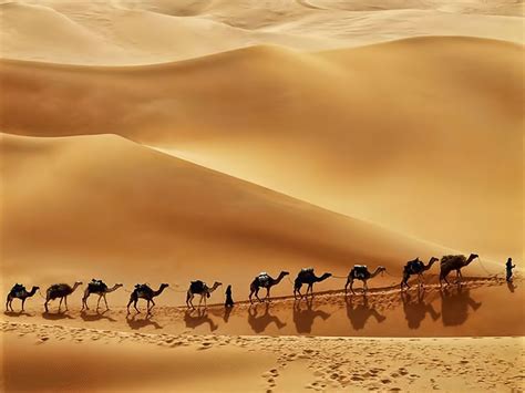 Arabian Desert Wallpapers - Top Free Arabian Desert Backgrounds ...