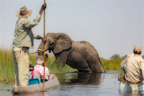 Okavango Delta Mokoro Safari - Kated