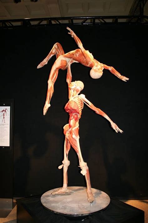 The dancers, escultura de Gunther von Hagens para la exposición ...