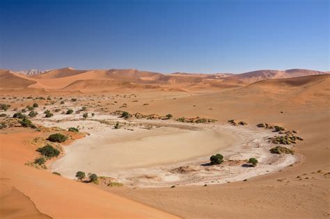 Kalahari Desert: Arid Landscape Characteristics in the Kalahari Desert