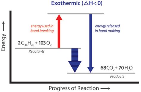 Exothermic, Endothermic, & Chemical Change | Energy Foundations for ...