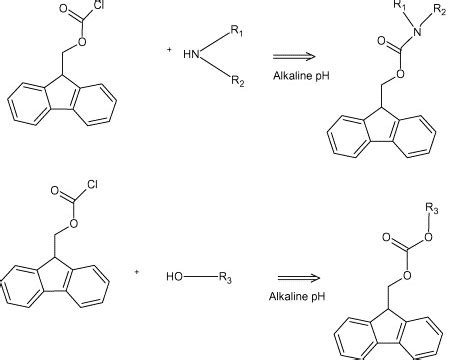 Derivatization reaction of FMOC-Cl with an amine and an alcohol ...