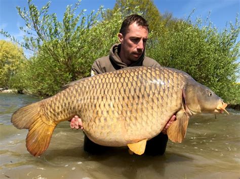 19 Carp at Lac du Der – Imperial Fishing Europe