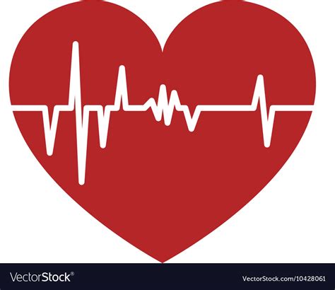 Heart cardiology medical Royalty Free Vector Image